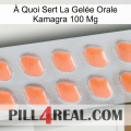 À Quoi Sert La Gelée Orale Kamagra 100 Mg 26